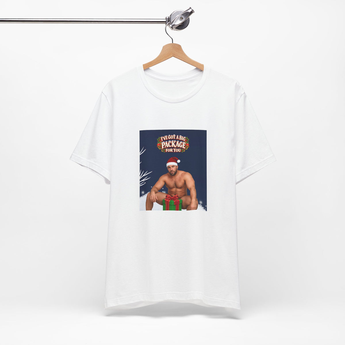 I’ve Got a Big Package for You - Funny Santa T-Shirt