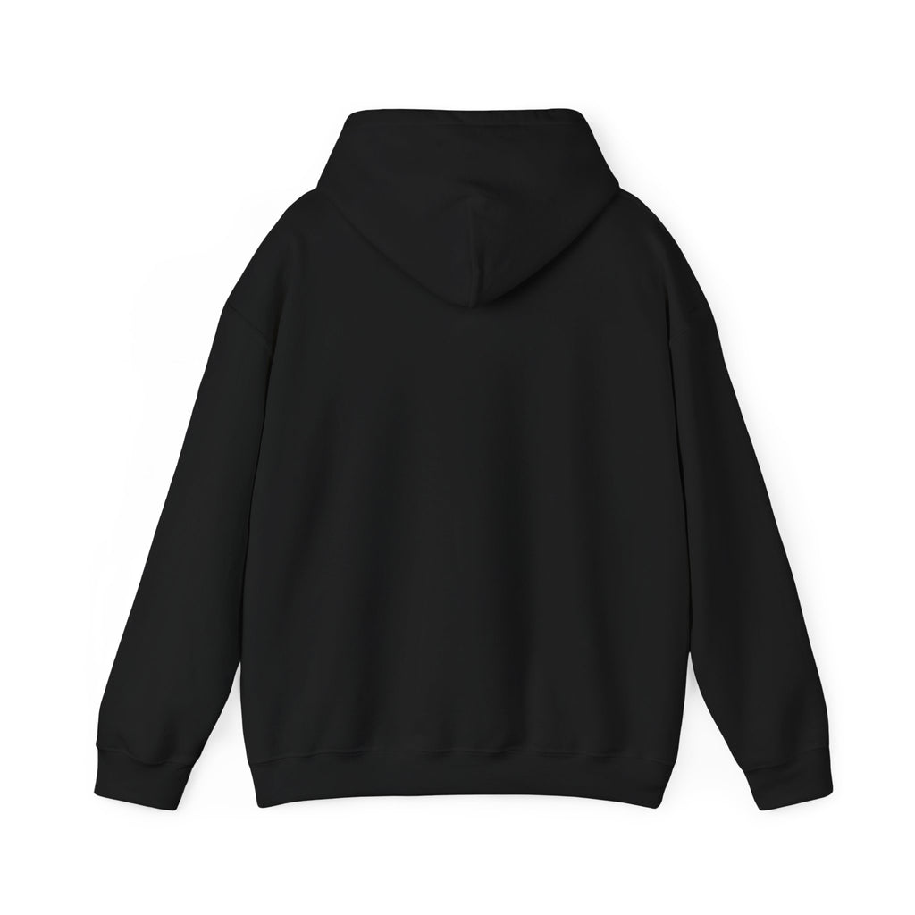 Nervous Flyer Please Hold My Hand - Funny Travel Hoodie