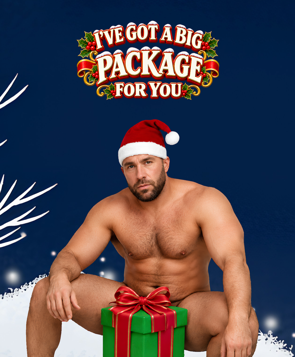 I’ve Got a Big Package for You - Funny Santa T-Shirt