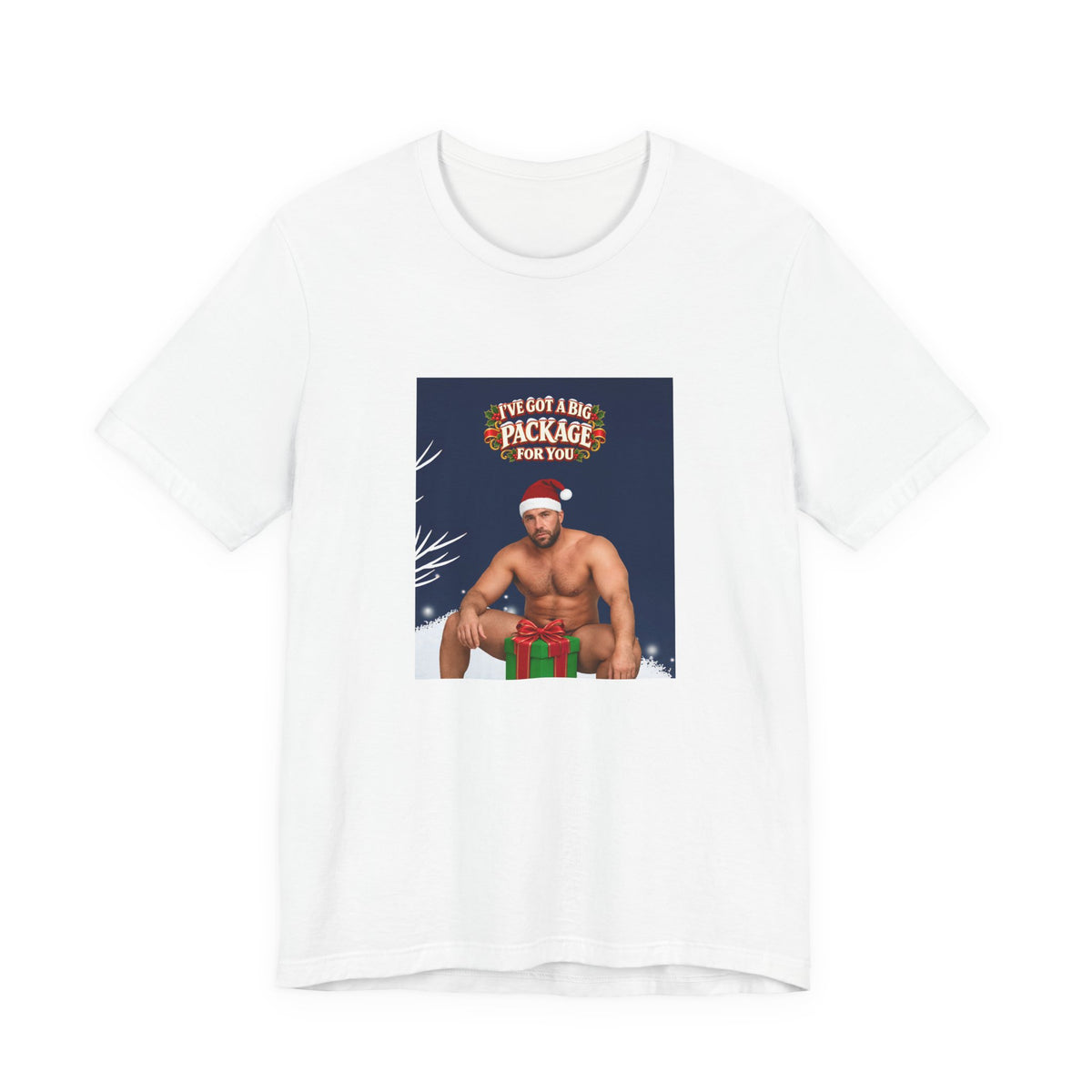 I’ve Got a Big Package for You - Funny Santa T-Shirt